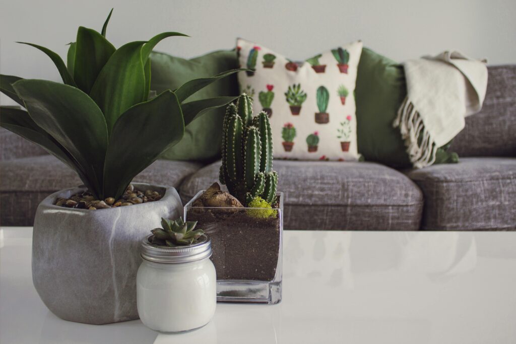 Living Room Organization Ideas